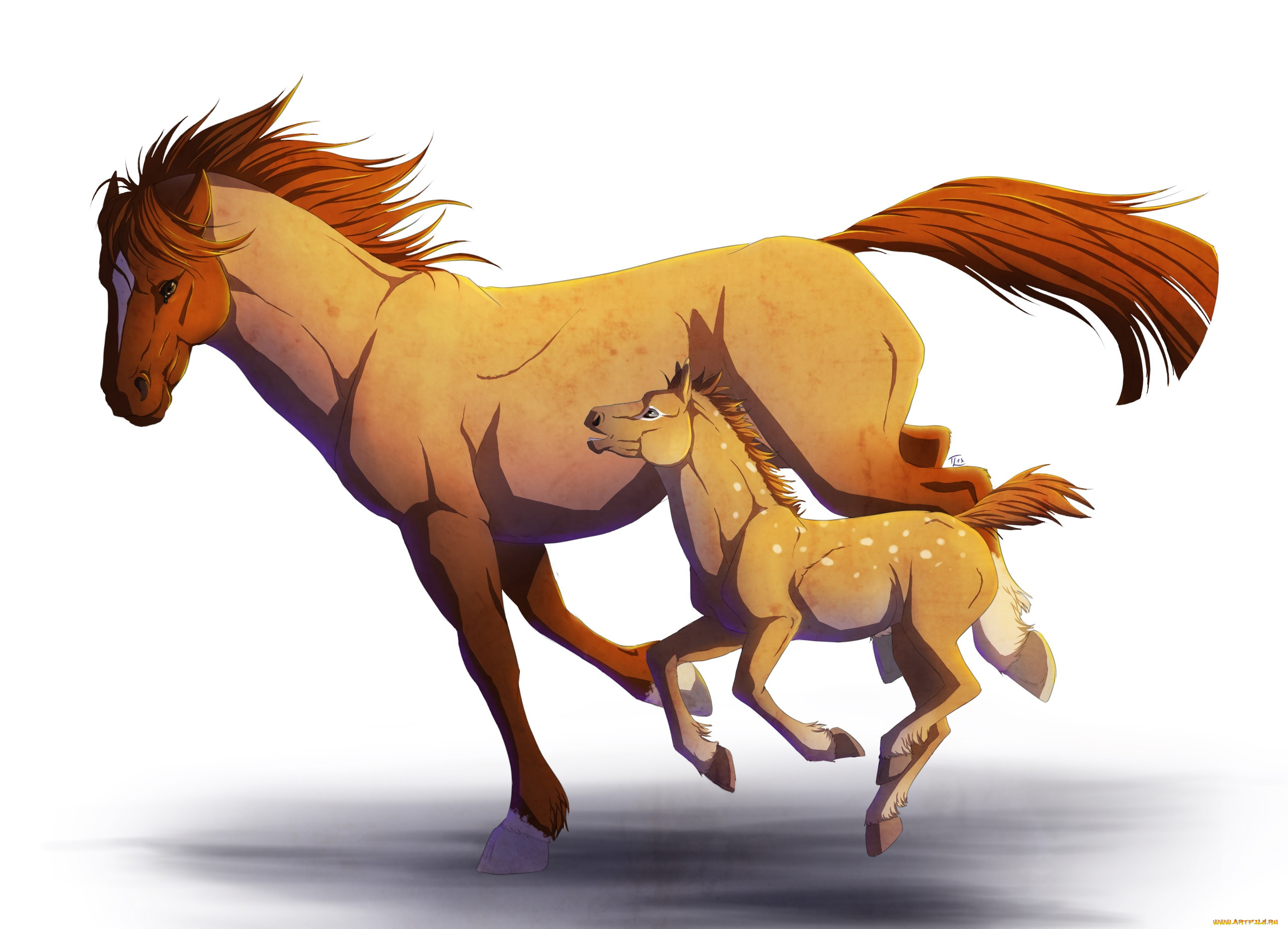 Аниме животные лошади